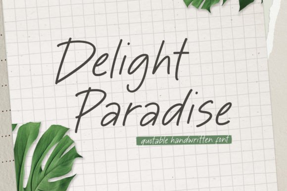 Delight Paradise: A Designer’s Real-World Review