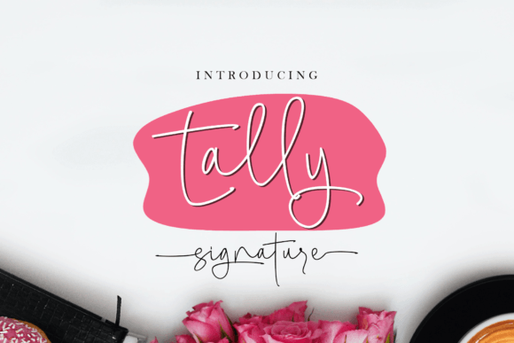 Tally Signature: A Modern Script Font That Feels Like Handwritten Charm